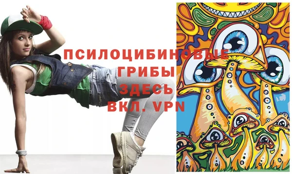 ГАЛЛЮЦИНОГЕННЫЕ ГРИБЫ Шадринск