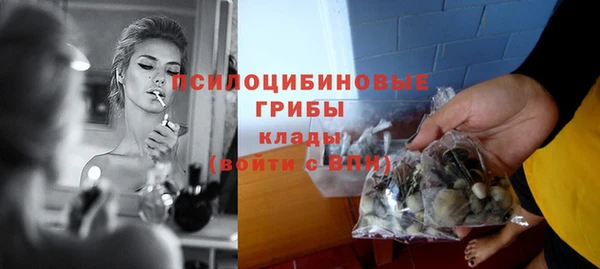 каннабис Слюдянка