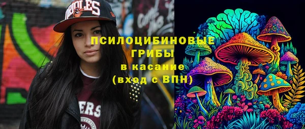 ПСИЛОЦИБИНОВЫЕ ГРИБЫ Снежногорск