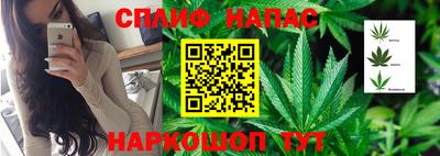 метадон Берёзовский