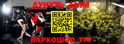 эйфоретик Гай