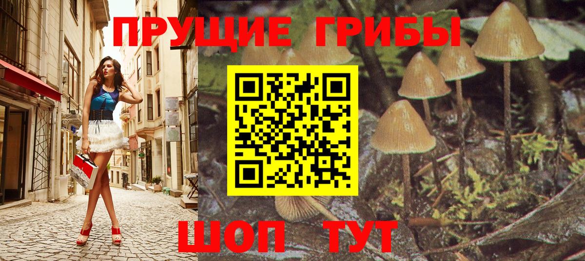 Псилоцибиновые грибы мухоморы  Галлюциногенные грибы Psilocybe  Владимир 