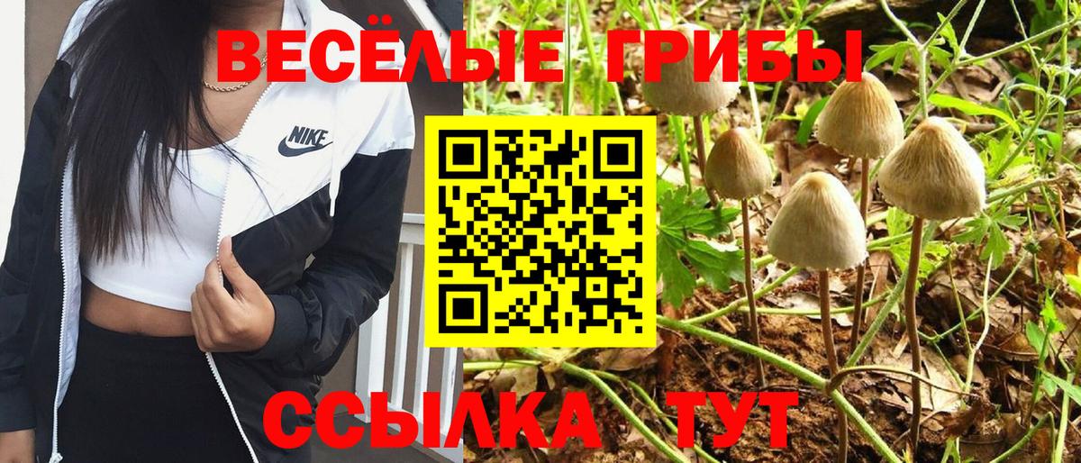 ГАШ  Владимир  Меф  Вход с VPN  A PVP  Каннабис  Cocaine 
