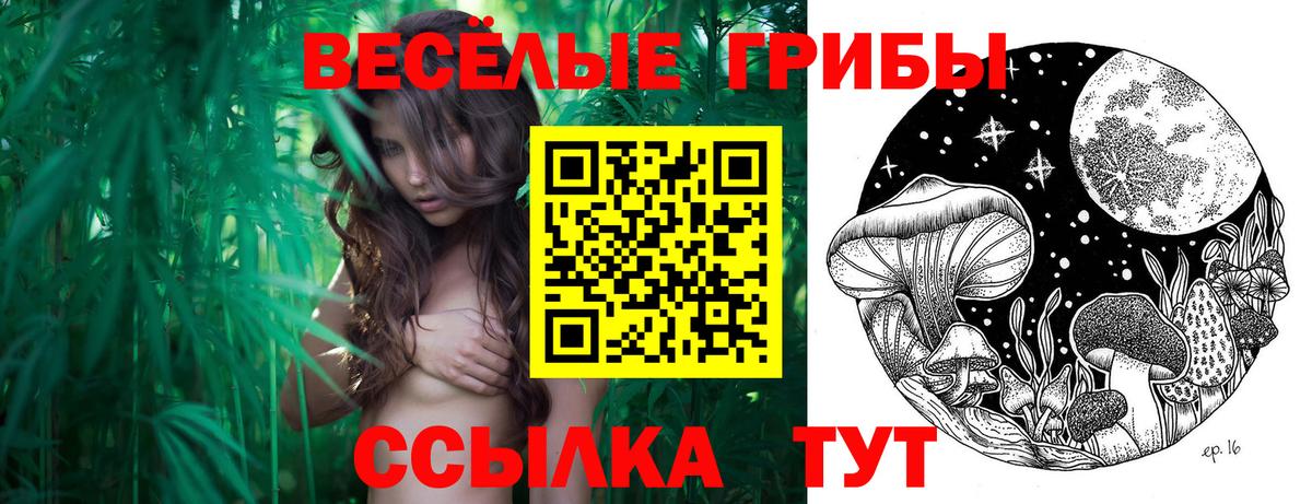 Псилоцибиновые грибы MAGIC MUSHROOMS Владимир
