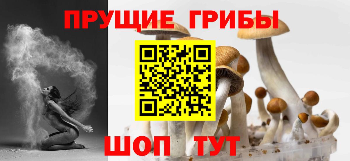 Галлюциногенные грибы Magic Shrooms  Вход с VPN  Владимир 