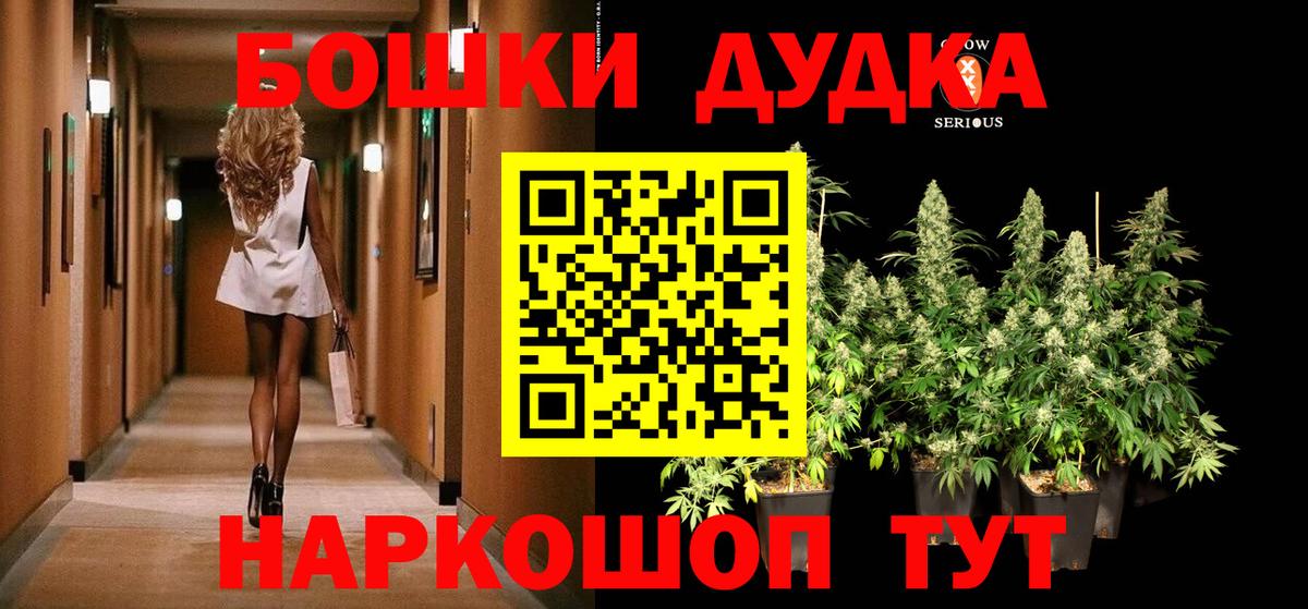 Каннабис сатива  Бошки Шишки планчик  Владимир 